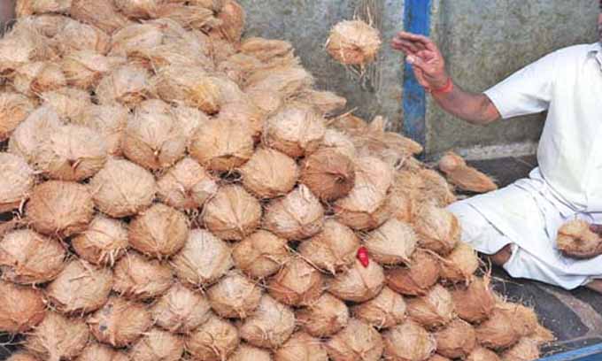 தேங்காய் விலை