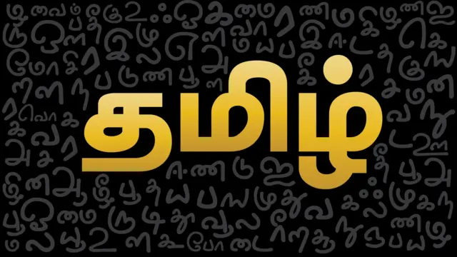 தமிழைக் கொச்சைப்படுத்த எதிர்க்கட்சிக்கு உரிமையில்லை!