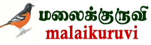 MALAIKURUVI