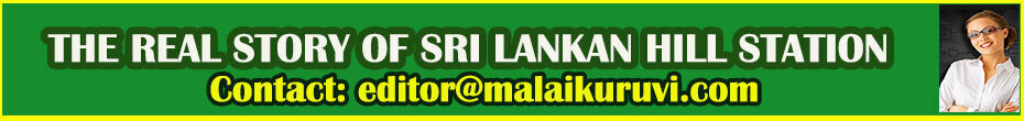 Malai 930X110
