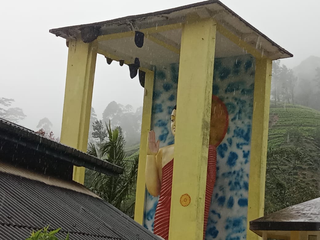 சிவனடிபாத மலைக்கு செல்லும் பிரதான பாதையில் பாரிய அளவில் குளவி கூடுகள்