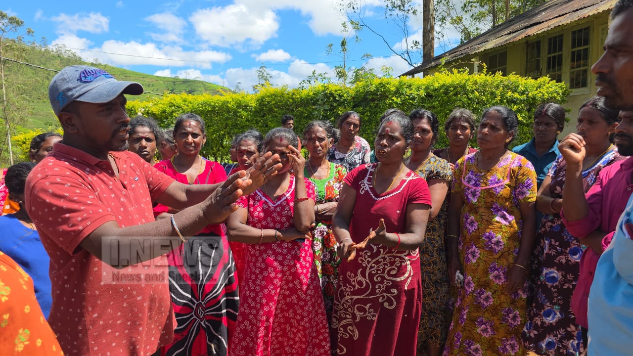 குளவிக்கொட்டுக்கு இலக்கான பெண்ணுக்கு அம்பியுலன்ஸ் வழங்காத தோட்ட நிர்வாகம்