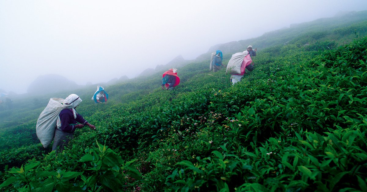 மழை இன்று முதல் அதிகரிக்கும்