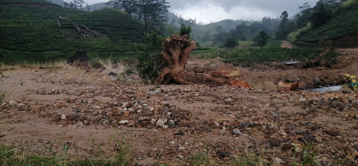 கண்டி நெல்லிமலை பகுதியில் கற்குவியலான காடுகள்