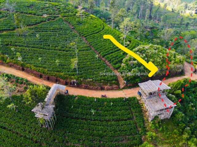 மறே தோட்டத்தில் மண் சரிவு அபாயம்: 71 குடும்பங்கள் வெளியேற்றம்