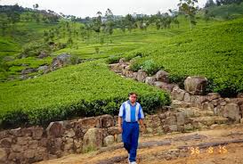 தோட்ட சேவையாளர்களுக்கு 32% சம்பள உயர்வு; கூட்டு ஒப்பந்தம் கைச்சாத்து