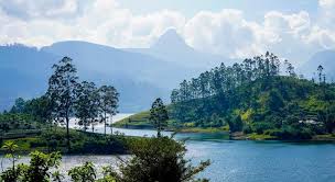 மஸ்கெலியா - கவரவலை, கிறீன்லைற் பாம் வெள்ளப்பாதிப்பைத் தவிர்க்க கோரிக்கை