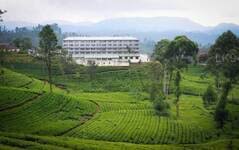 ஹற்றன் டன்கெல்ட் தோட்டத் தொழிற்சாலை முதன்மையானதாக தெரிவு