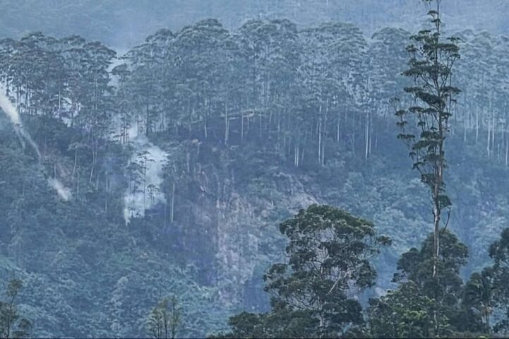 சிவனொளிபாத மலை வனப் பகுதியில் தீப்பரவல்