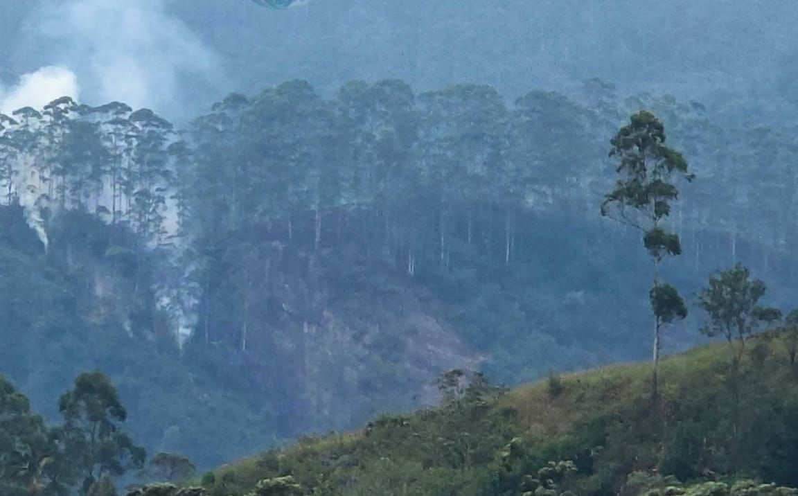 சிவனொளிபாத மலை வனப் பகுதியில் தீப்பரவல்