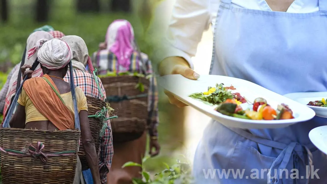 ஹோட்டல் தொழிலைக் கைவிட்டுத் தோட்டம் திரும்பும் மலையக இளையோர்