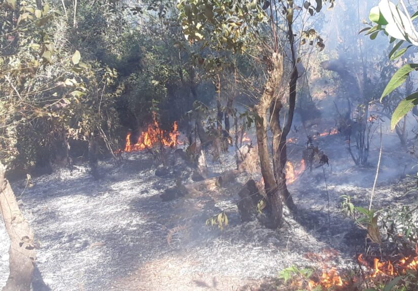 மலைநாட்டில் பாதுகாக்கப்பட்ட காடுகளுக்கு விஷமிகள் தீவைப்பது தொடர்கிறது