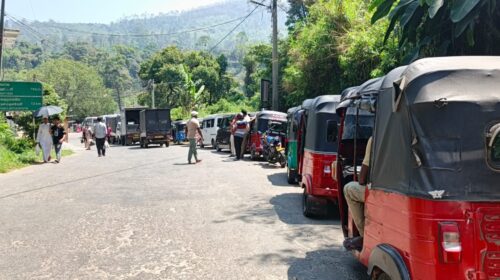 மஸ்கெலியா எரிபொருள் நிரப்பும் நிலையத்தில் வரிசையில் வாகனங்கள்