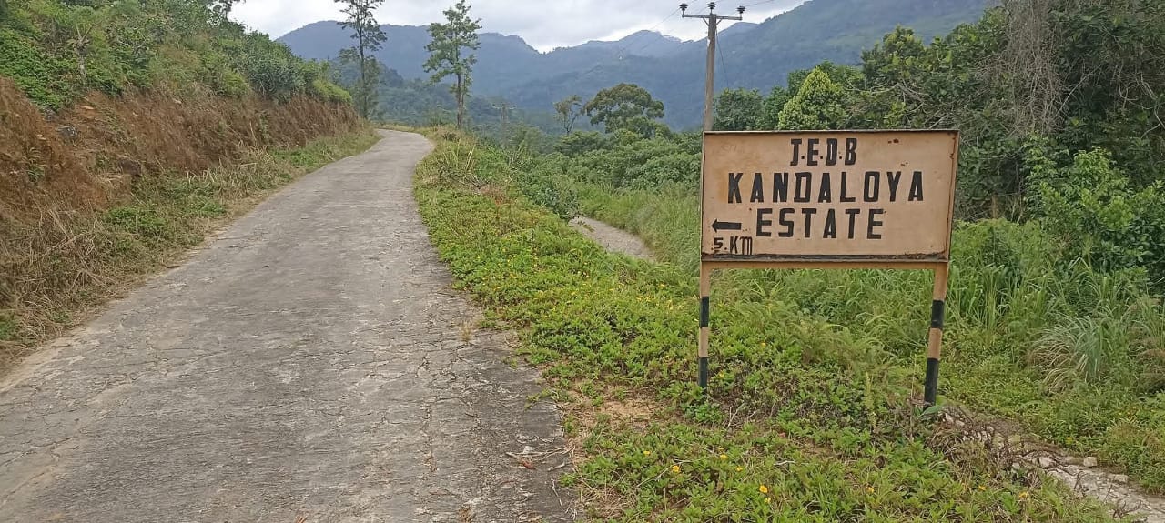 WhatsApp Image 2026-03-10 at 12.36.48