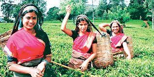 தற்காலிகத் தொழிலாளர்களுக்கு 1750 ரூபாய் சம்பள உயர்வு கிடைப்பதில்லை!