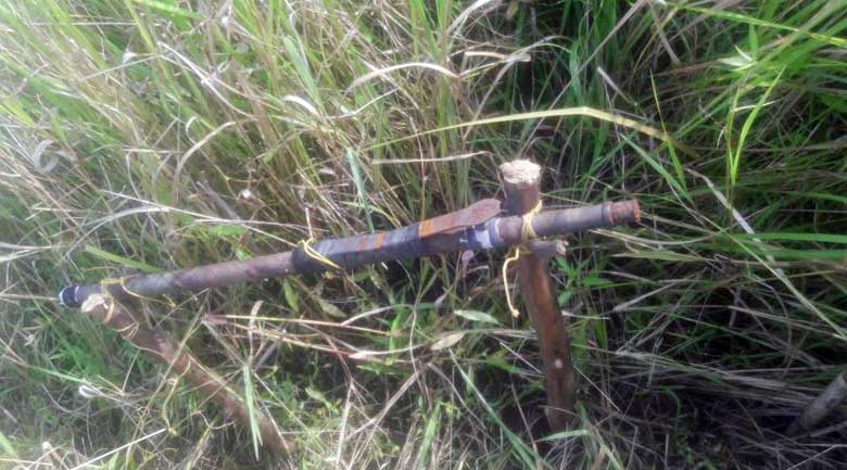 பலாக்காய் பறிக்கச் சென்றவரை பதம் பார்த்த கட்டுத்துப்பாக்கி!