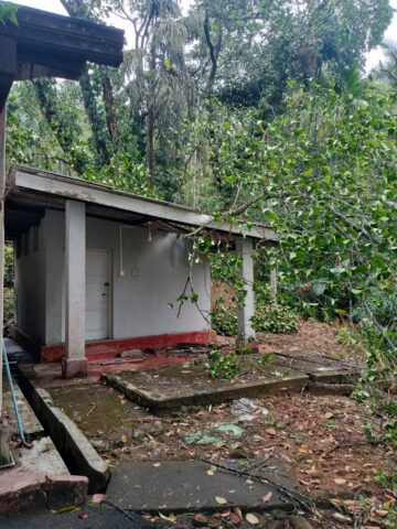 கினிகத்தேனையில் வீசிய கடுங்காற்றினால் மாணவிகள் இருவர் படுகாயம்!