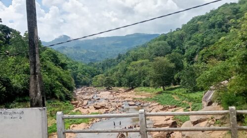 விவசாய நிலமாக மாறிப்போன விக்டோரியா நீரேந்தும் பகுதி!