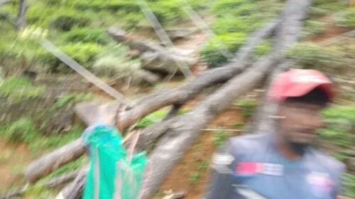 மஸ்கெலியா பிரதேச சபைக்கு உட்பட்ட பகுதிகளில் கன மழை