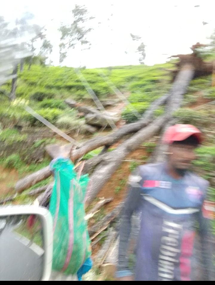 மஸ்கெலியா பிரதேச சபைக்கு உட்பட்ட பகுதிகளில் கன மழை