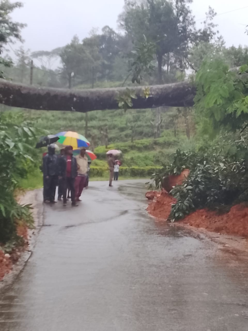 தலவாக்கலை பூண்டுலோயா வீதியில் போக்குவரத்து தடை!