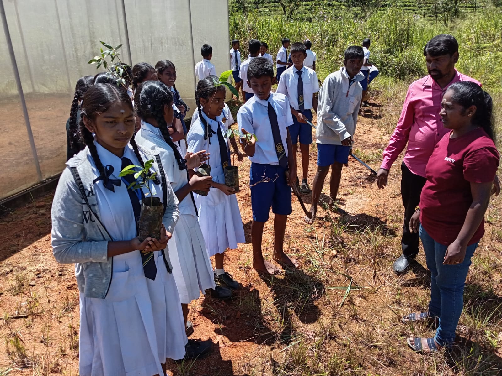 பத்தனை தமிழ் வித்தியாலயத்தில் மரம் நடுகை நிகழ்ச்சி