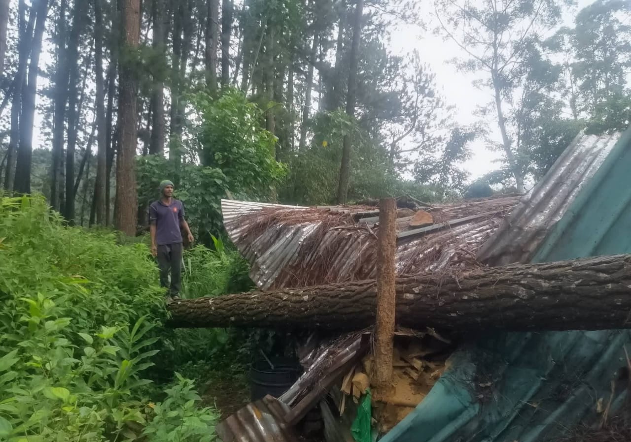 நல்லதண்ணி - ரக்காடு கிராமத்தில் மரம் முறிந்து வீழ்ந்து குடியிருப்பு சேதம்!