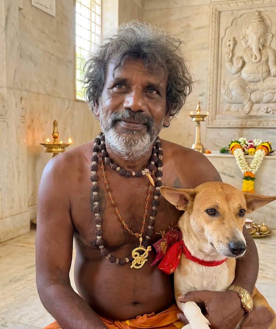 யாழ்ப்பாணத்திலிருந்து கதிர்காம யாத்திரை பக்தர்களுடன் பயணிக்கும் நாய்!