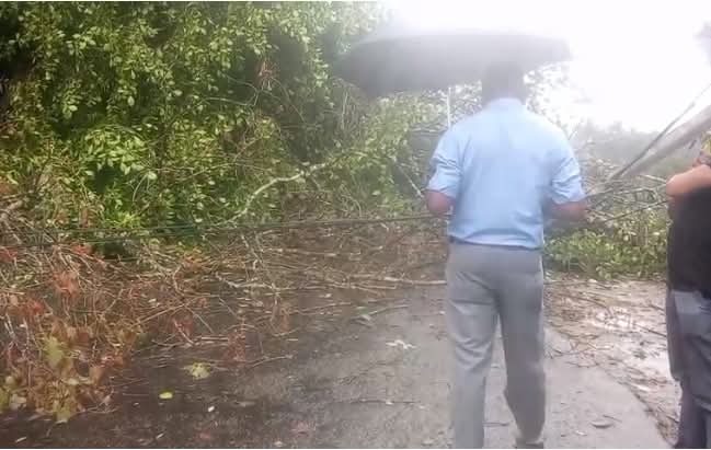 நாவலப்பிட்டி தொலஸ்பாகையில் மரம் முறிந்து வீழ்ந்து போக்குவரத்து பாதிப்பு!