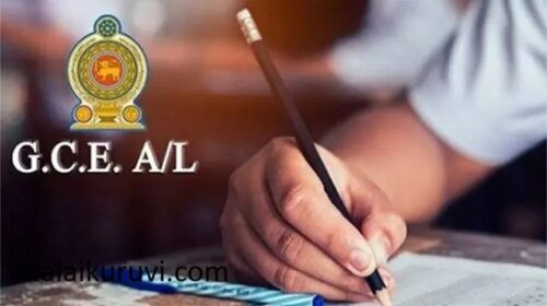 க.பொ.த உயர் தரப் பரீட்சையை ஒத்திவைக்க கோரிய மனு நிராகரிப்பு