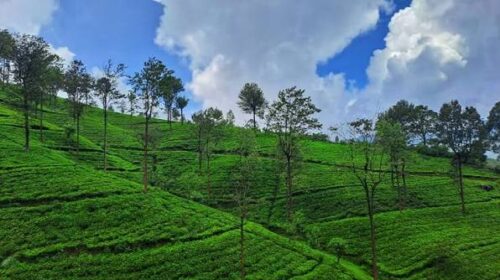 எமது மன்றத்தால் மலையகத்தில் வீட்டுக்கொரு பட்டதாரி உருவாக்குவோம்