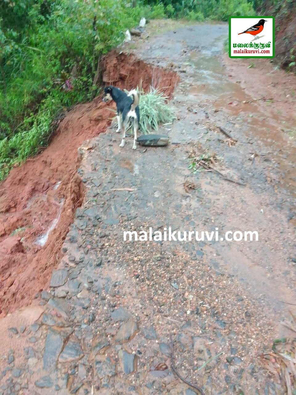 சரிந்து விழுந்த அந்தோணிமலை பாதை சீரமைக்கப்படுமா?