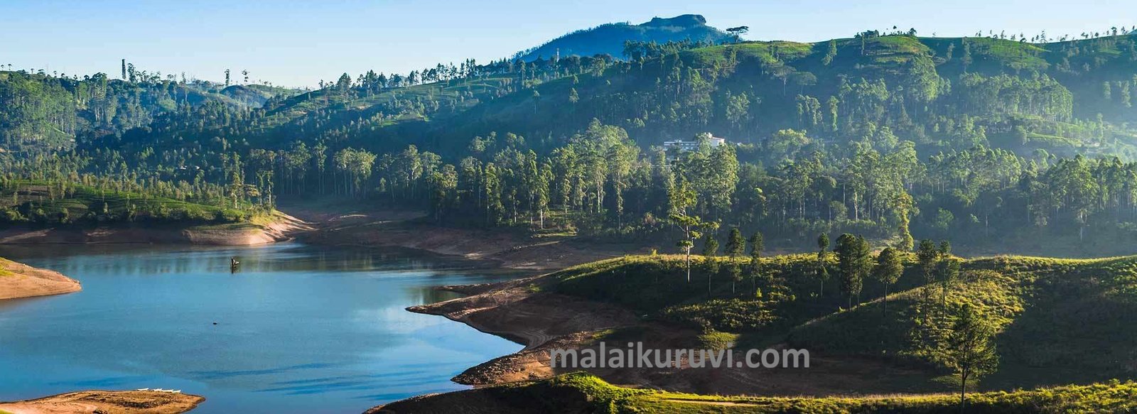நோட்டன்,காசில்ரீ நீர்த்தேக்கத்தில் விடப்பட்டன