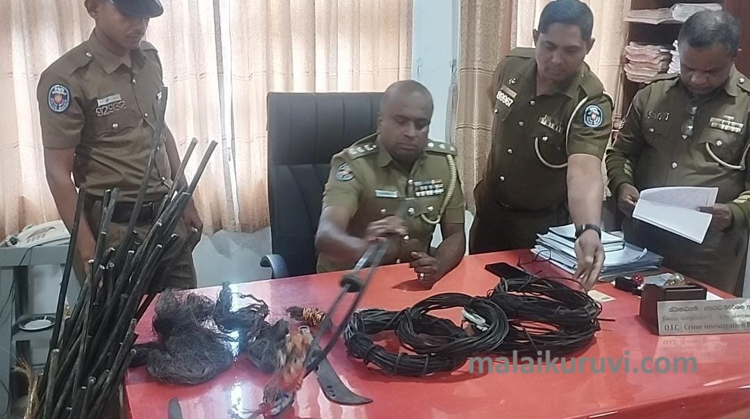 தொலைத்தொடர்பு வடங்களுக்கு உலை வைத்த இருவர் கைது!