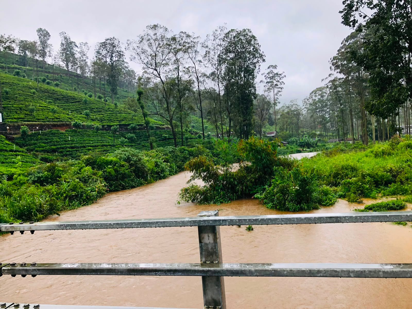 நுவரெலியா மாவட்டத்தில் தொடர்ந்து கன மழை பெய்து வருகிறது. கடந்த மூன்று நாள்களாக மத்திய மலைநாட்டில் நுவரெலியா மாவட்டத்தில் பல்வேறு பகுதிகளில் கன மழை பெய்து வருகிறது.