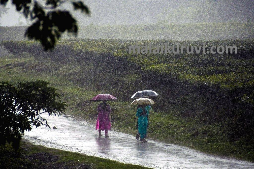 நாட்டின் பெரும்பாலான பகுதிகளில் இன்று (03) பிற்பகல் ஒரு மணிக்குக்குப் பிறகு மழை அல்லது இடி மின்னலுடன் கூடிய மழை பெய்யக்கூடும் என வளிமண்டலவியல் திணைக்களம் அறிவித்துள்ளது.