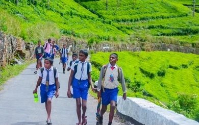 குளவிக்கொட்டுக்கு இலக்கான முதியவர் மருத்துவமனையில் அனுமதி!